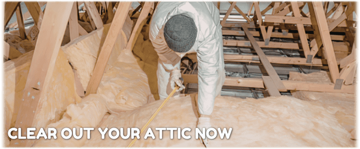 Attic Cleaning Philadelphia